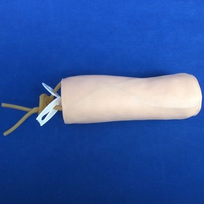 Ciencias Médicas Economía Venipunctura Blanda e Inyección IV Enseñanza Modelo Simulador de Punción del Codo
