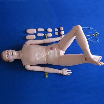 Demostración de atención al paciente Ciencias médicas avanzadas Enfermería maniquí con órganos internos