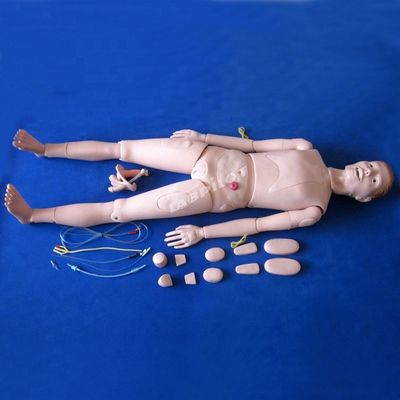 Demostración de atención al paciente Ciencias médicas avanzadas Enfermería maniquí con órganos internos