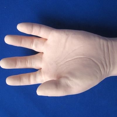 Entrenamiento completo en venenucración del brazo Modelo de tamaño de vida humana para inyecciones intravenosas e intravenosas