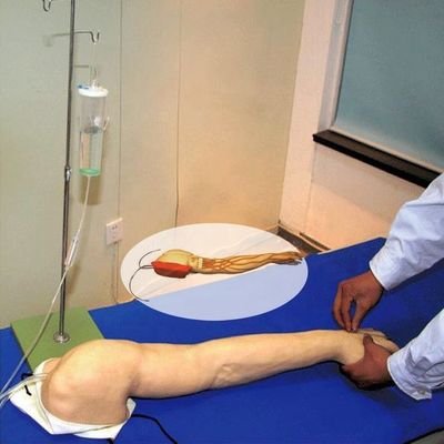Entrenamiento completo en venenucración del brazo Modelo de tamaño de vida humana para inyecciones intravenosas e intravenosas