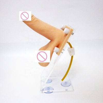 Modelo de enseñanza de orientación para clases de ciencias médicas de simulación del pene y anticoncepción