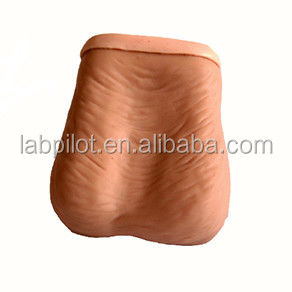 Simulador de examen testicular realista con tamaño humano y PVC avanzado