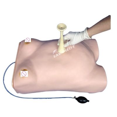 Muñeco de palpación electrónica de maternidad con función de auscultación ginecológica