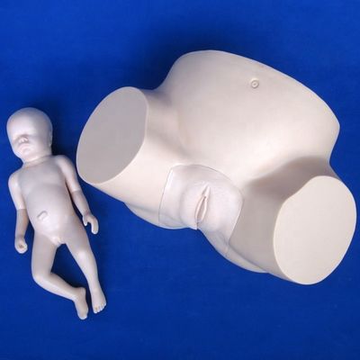 Simulador de embarazo y parto de maniquí de PVC avanzado para entrenamiento de extracción de vacío