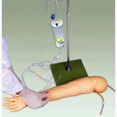 Modelo de brazo de entrenamiento para infusión intravenosa de material avanzado de PVC para niños de 4 años