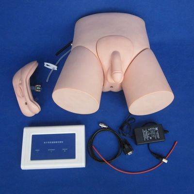 Modelo de entrenamiento de cateterismo uretral electrónico para hombres y mujeres