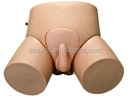 Modelo de entrenamiento de cateterismo uretral electrónico para hombres y mujeres