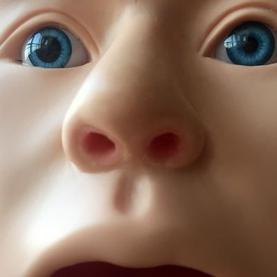 Modelo de lavado gástrico transparente Simulador de tubo de alimentación nasal para formación en enfermería