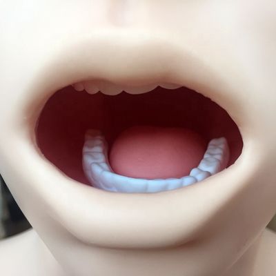 Modelo de lavado gástrico transparente Simulador de tubo de alimentación nasal para formación en enfermería