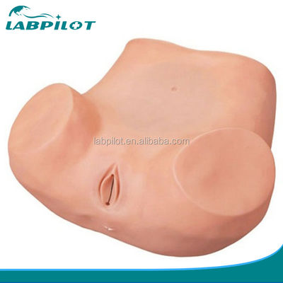 Simulador de entrenamiento para exámenes de ginecología y educación en salud de la mujer con material avanzado de PVC