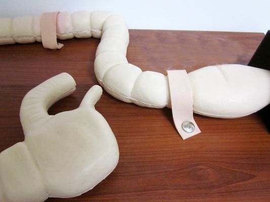 Maniquí para el entrenamiento de examen Sigmoidoscopio Modelo de Intestino Avanzado simulador