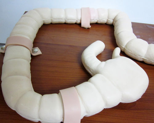 Maniquí para el entrenamiento de examen Sigmoidoscopio Modelo de Intestino Avanzado simulador