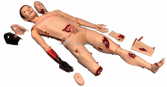 Maniquí humano realista para la enseñanza de simulador de traumatismo cuidado de heridas de quemaduras de cara y fracturas