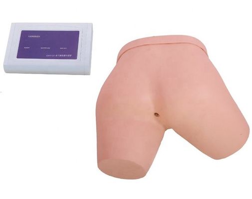 Simuladores de enseñanza de ciencias médicas Simuladores electrónicos de enemas Modelo de formación de enfermería
