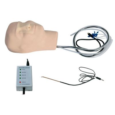 Simulador de hemorragia nasal para una educación de enfermería efectiva Modelo de epistaxis y hemostasis