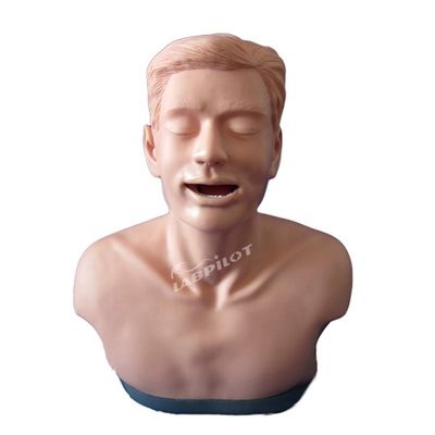 Modelo de entrenamiento de examen de tiroides para la enseñanza anatómica y demostración de función