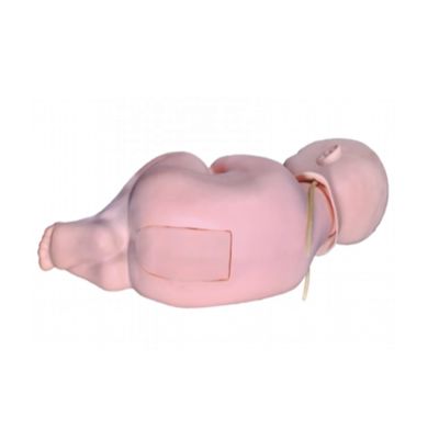 Muñeco de entrenamiento de punción lumbar infantil para maniquí pediátrico en el cuidado de enfermeras médicas