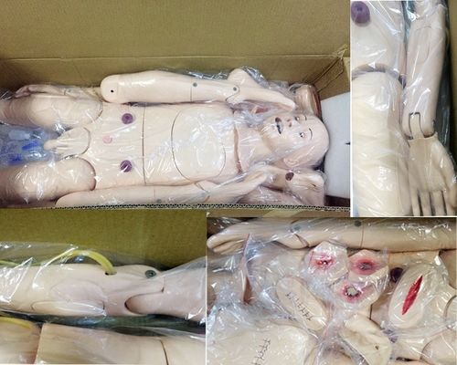 Tamaño de vida humana maniquí de enfermería para adultos con simulador de presión arterial maniquí de entrenamiento médico
