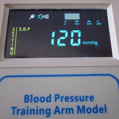 Tamaño de vida humana maniquí de enfermería para adultos con simulador de presión arterial maniquí de entrenamiento médico