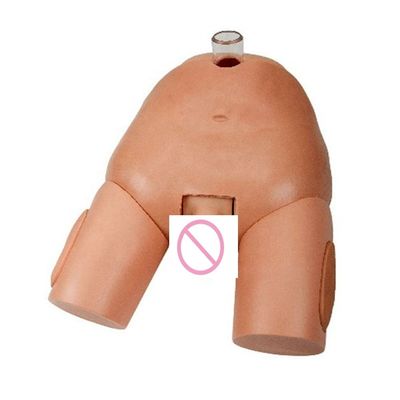 Simulador de operación de punción urinaria femenina de PVC para habilidades de cateterismo
