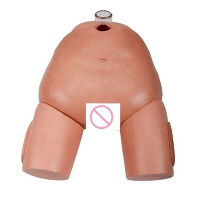 Simulador de operación de punción urinaria femenina de PVC para habilidades de cateterismo