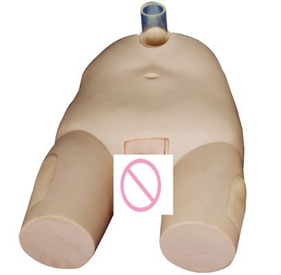 PVC Modelo de capacitación en riego de vejiga masculino/femenino Habilidades de cateterismo y simulador de operación de punción