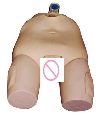 PVC Modelo de capacitación en riego de vejiga masculino/femenino Habilidades de cateterismo y simulador de operación de punción