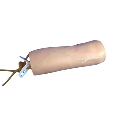 Ciencias Médicas Venipunctura y Transfusión de Sangre Modelo de Práctica con IV Modelo de Codo
