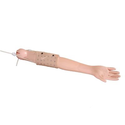 Enseñanza clínica en simulador de brazo completo para la inyección intradérmica y la práctica de la venipunctura