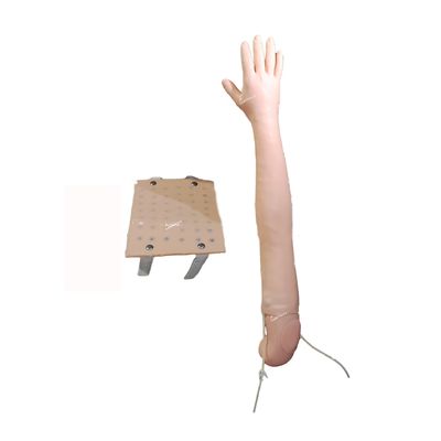 Enseñanza clínica en simulador de brazo completo para la inyección intradérmica y la práctica de la venipunctura