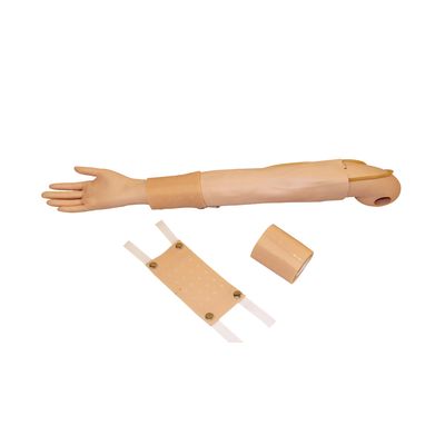 Enseñanza clínica en simulador de brazo completo para la inyección intradérmica y la práctica de la venipunctura