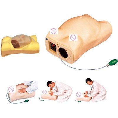 Muñeco de palpación electrónica de maternidad con función de auscultación ginecológica
