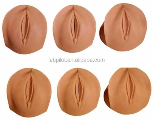 Modelo de demostración de cuello uterino borrado y dilatado para simulación avanzada de cuidados de maternidad