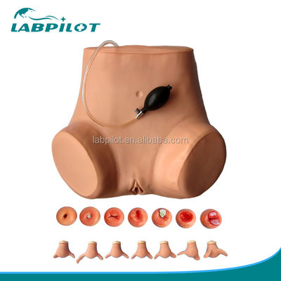 Entrenamiento de examen ginecológico completo maniquí con varios modelos de cuello uterino y útero