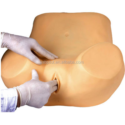 Entrenamiento de examen ginecológico completo maniquí con varios modelos de cuello uterino y útero