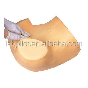 Entrenamiento de examen ginecológico completo maniquí con varios modelos de cuello uterino y útero