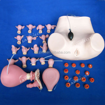 Entrenamiento de examen ginecológico completo maniquí con varios modelos de cuello uterino y útero