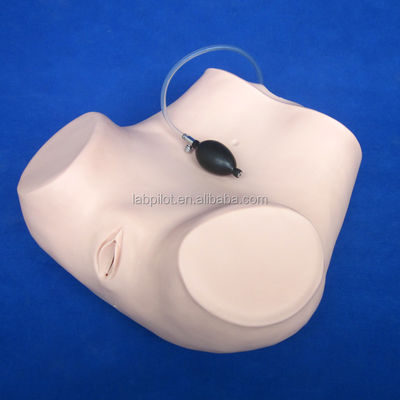 Ciencias médicas Diversas habilidades de enfermería ginecológica Entrenamiento maniquí Examen de pelvis y vagina modelo
