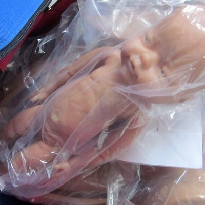 Mujer embarazada maniquí muñeco para bebés Matrona modelo de entrenamiento para el parto con PVC avanzado