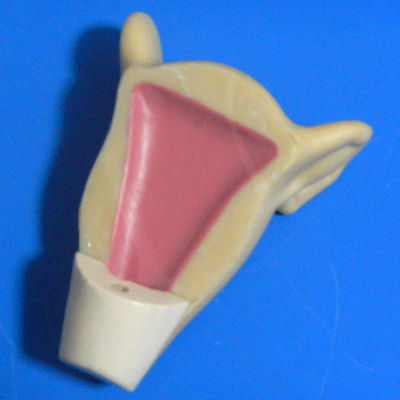 Modelo de formación en planificación familiar y DIU para la inserción uterina