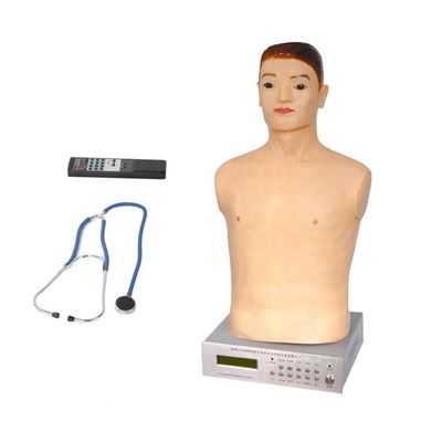 Maniquí de medio cuerpo para el examen físico Enseñanza en el Hospital Especial de Mujeres y Niños