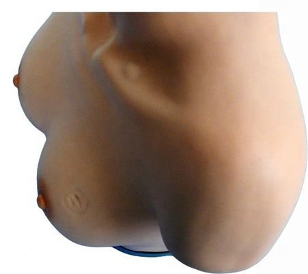 Habilidades ginecológicas Enseñando maniquí para la inspección de mama y simulador de palpación