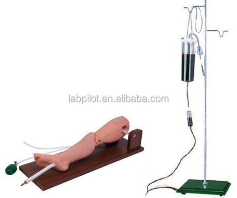 Conveniente simulador de punción de médula ósea infantil y de venenictura femoral para entrenamiento