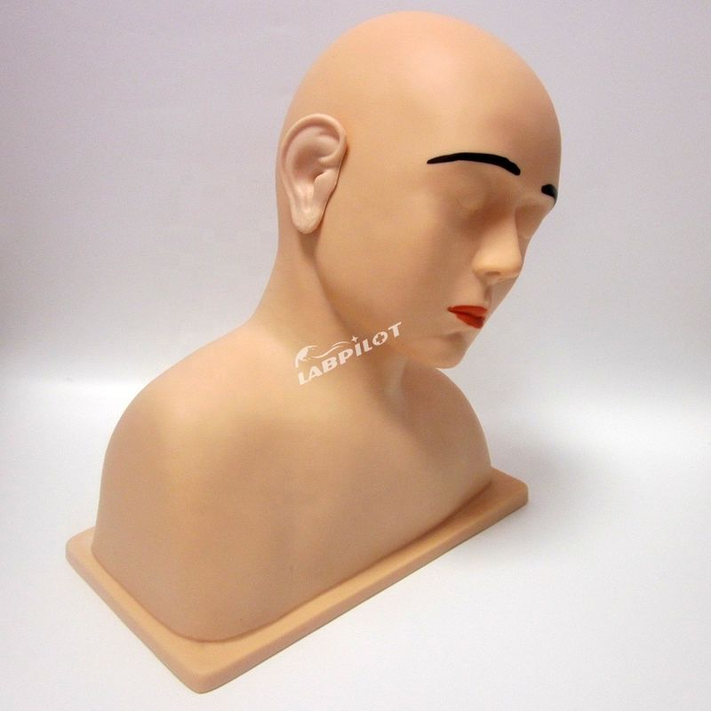 Modelo de oreja viva de tamaño humano La herramienta definitiva para el simulador de entrenamiento de riego de orejas