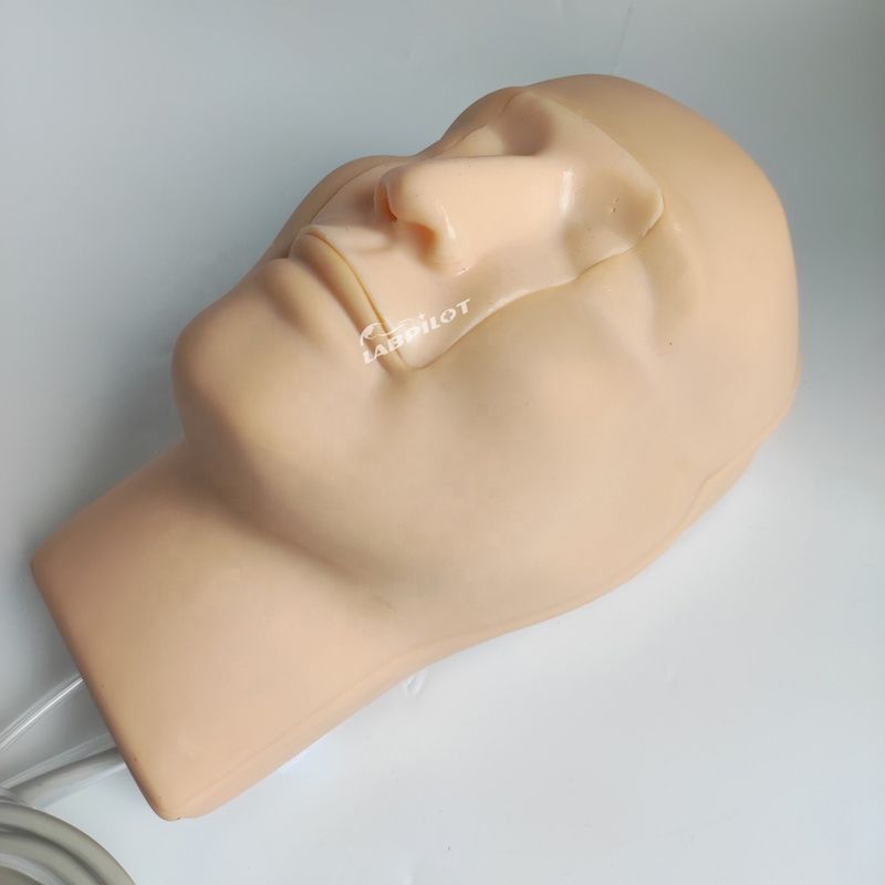 Modelo vivo de hemorragia nasal para pacientes
