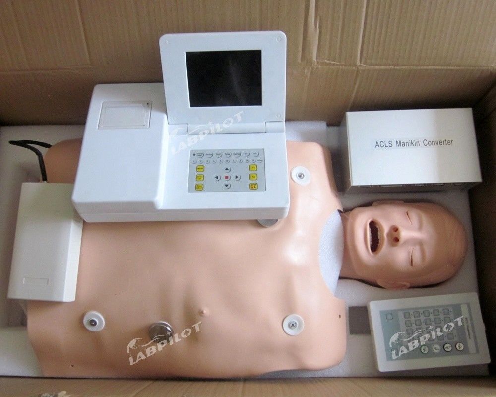 Maniquí de PVC para la formación médica en las categorías de ACLS y modelo de intubación IV
