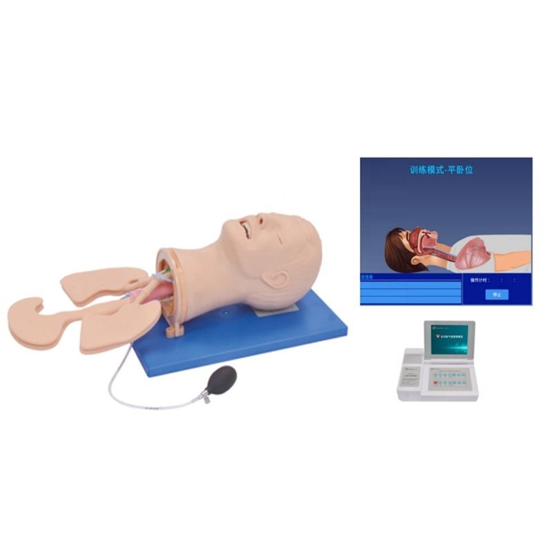 Modelo electrónico de capacitación de gestión de vías respiratorias multipropósito para las necesidades de tamaño humano