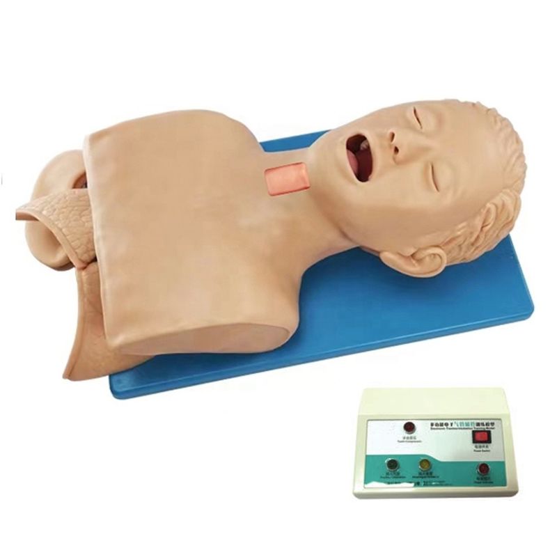 Simulador humano multipropósito para el manejo de las vías respiratorias y la punción cricoidea en hospitales