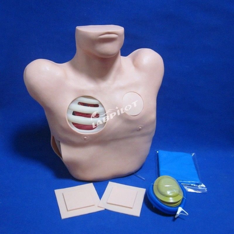 Maniquí de PVC avanzado para entrenamiento de enfermería de drenaje de punción pleural y toracentesis